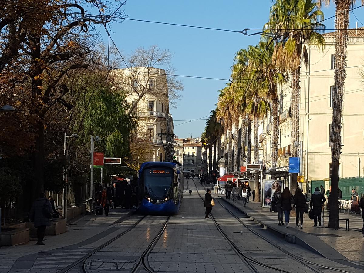 Hotel Saint Roch Montpellier Centre Exterior photo